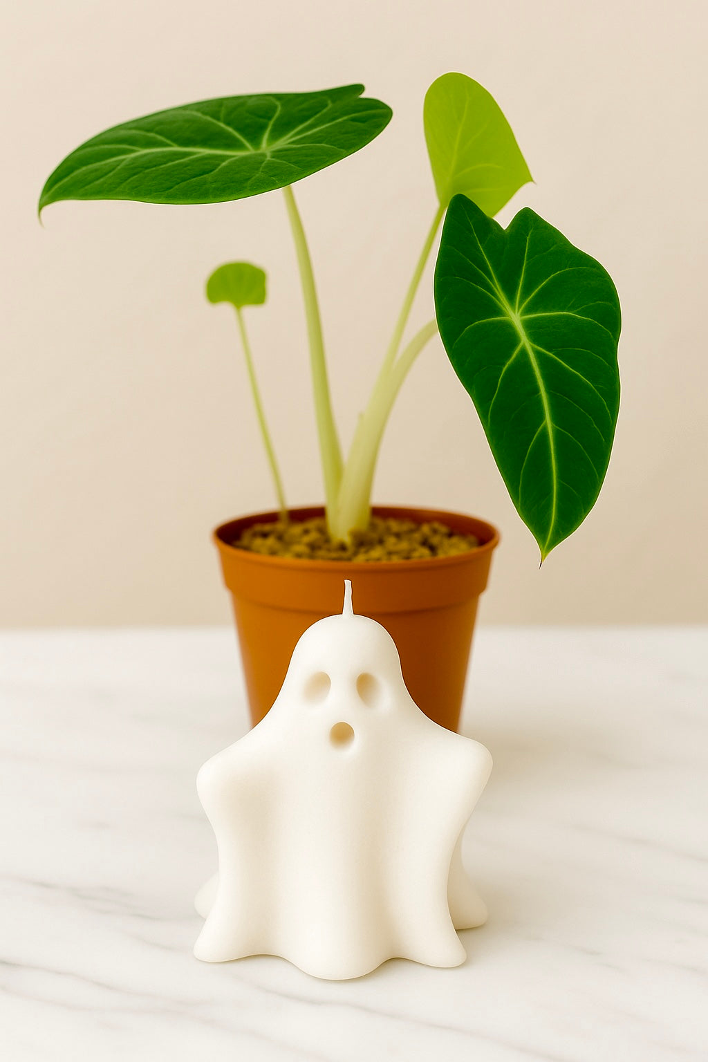 Ghastly Ghoul Boy Ghosts