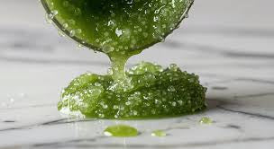 Enchanted Matcha Body Scrub - Reviving, Soothing, & Protecting