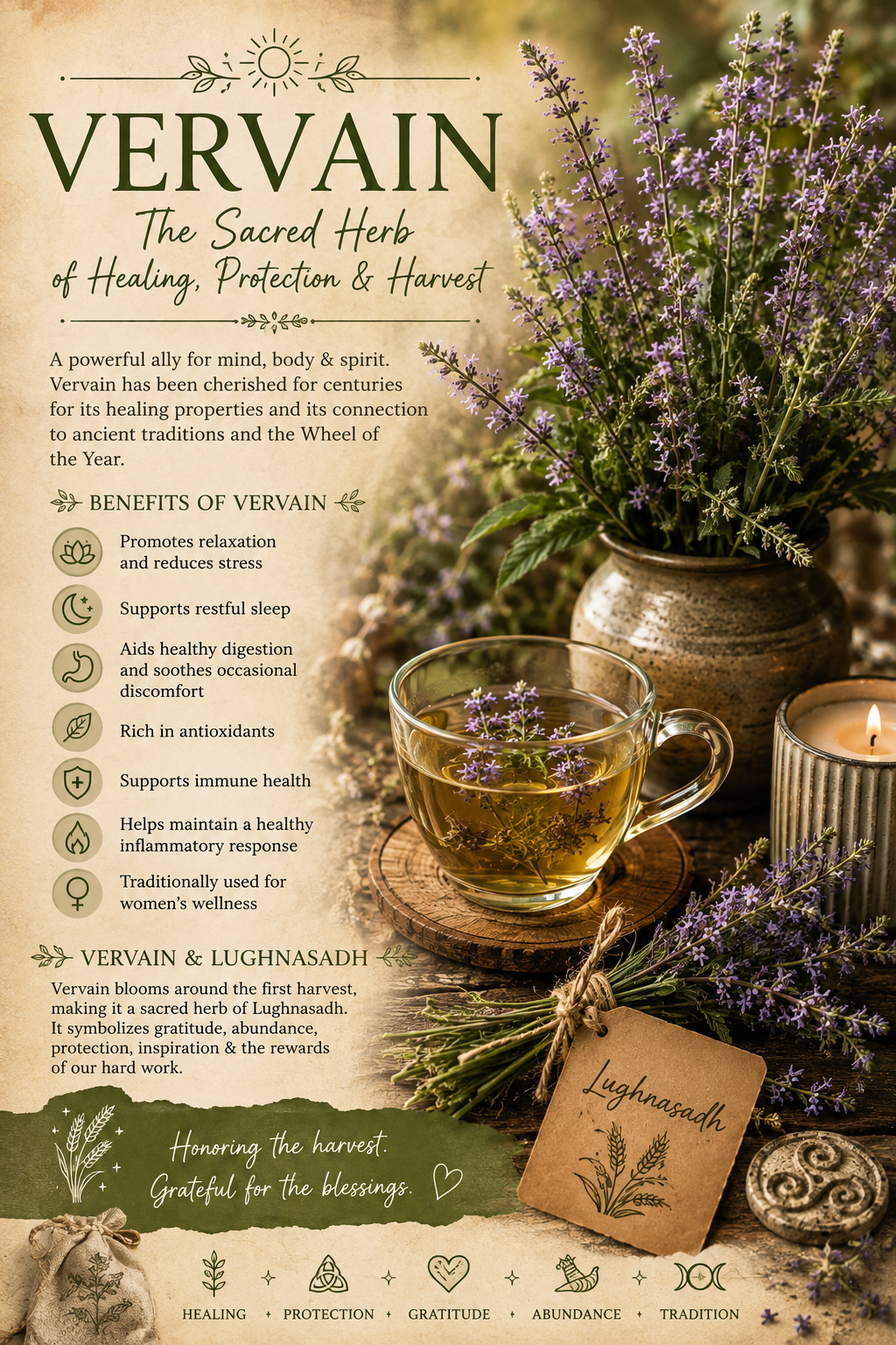 Vervain: The Sacred Herb of Lughnasadh and Ancient Harvest Magic