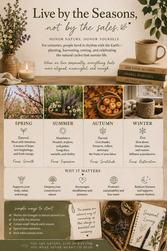 Living with the Seasons: Why Following Nature’s Rhythm Makes More Sense Than Following the Calendar in a Store Window