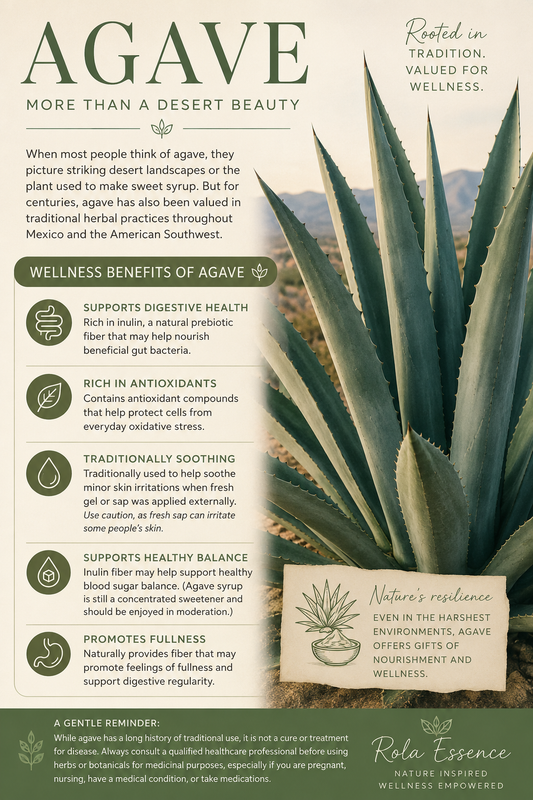 Agave: The Desert Plant with a Rich History of Wellness
