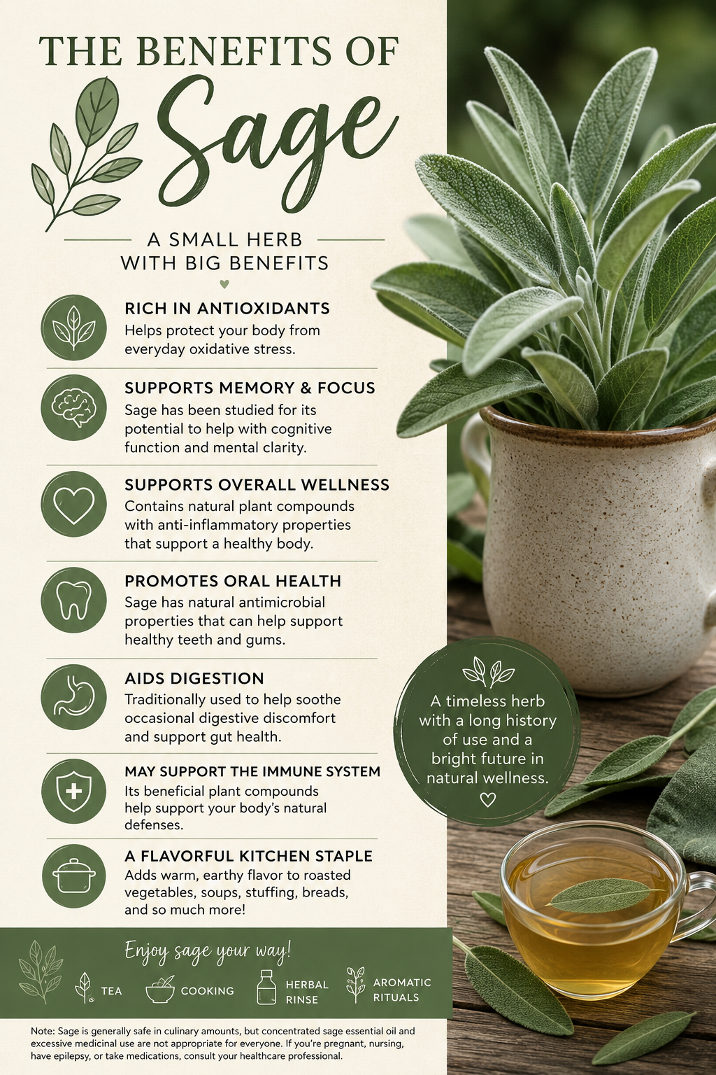 🌿 Sage: An Ancient Herb That Still Earns Its Place Today