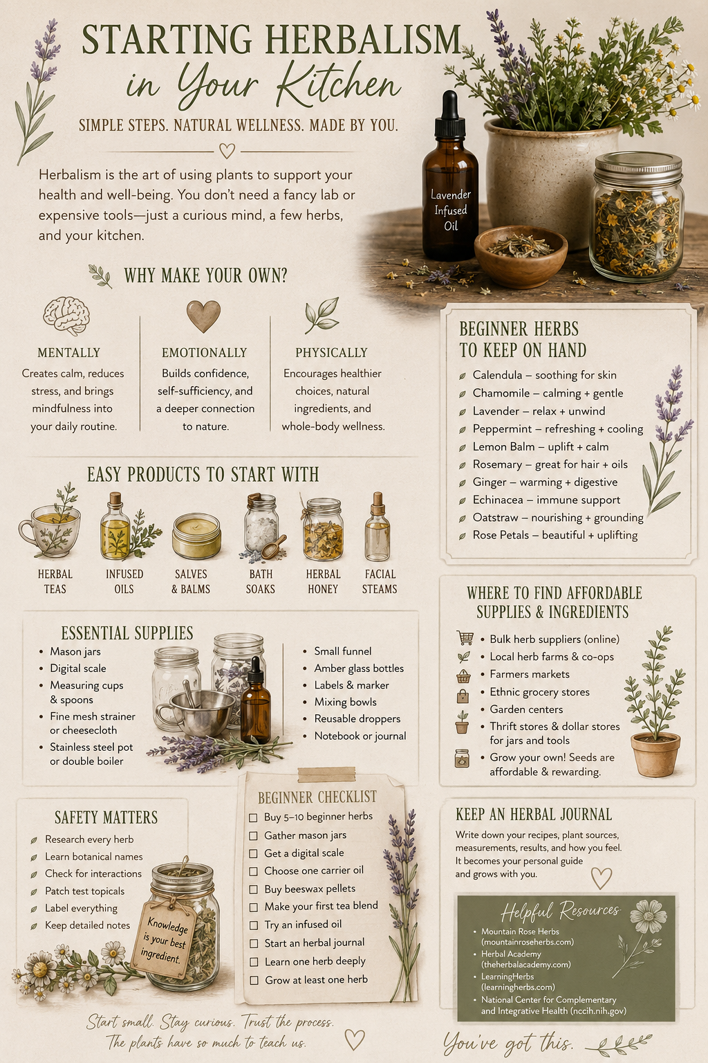 Starting Herbalism in Your Own Kitchen: A Beginner’s Guide to Building Your Home Apothecary