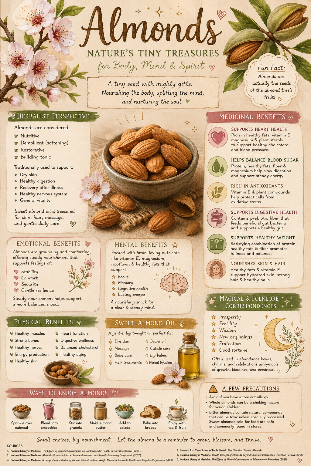 Almonds: Nature’s Tiny Treasures for Body, Mind & Spirit