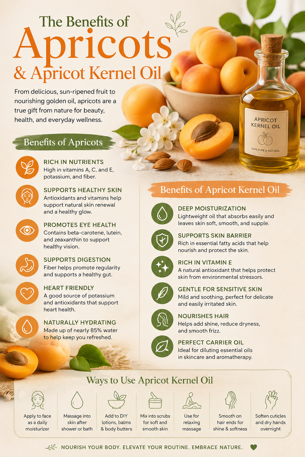 Apricots & Apricot Kernel Oil: Nature’s Golden Gift for Skin, Hair, and Wellness