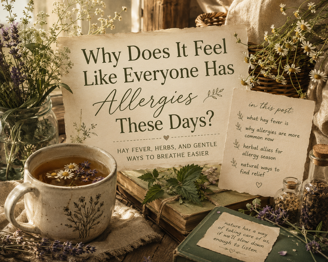 Spring blossoms, invisible pollen, and the ancient plant allies that help us breathe a little easier.