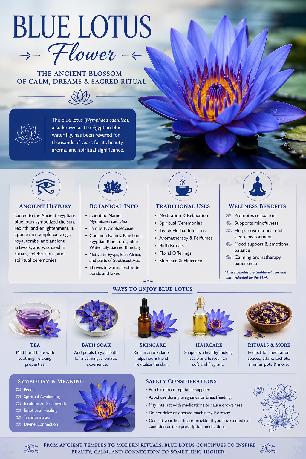 Blue Lotus Flower: The Ancient Blossom of Calm, Dreams & Sacred Ritual