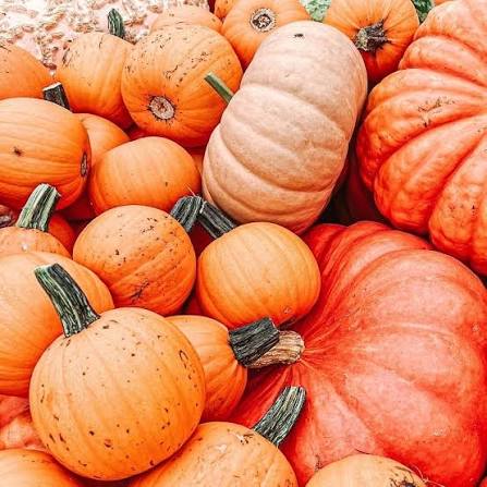 Pumpkin Patch | Autumn Harvest Beeswax Candle