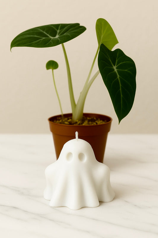 Ghastly Ghoul Boy Ghosts