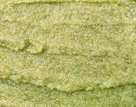 Emerald Garden Avocado Scrub - Polish • Nourish • Glow