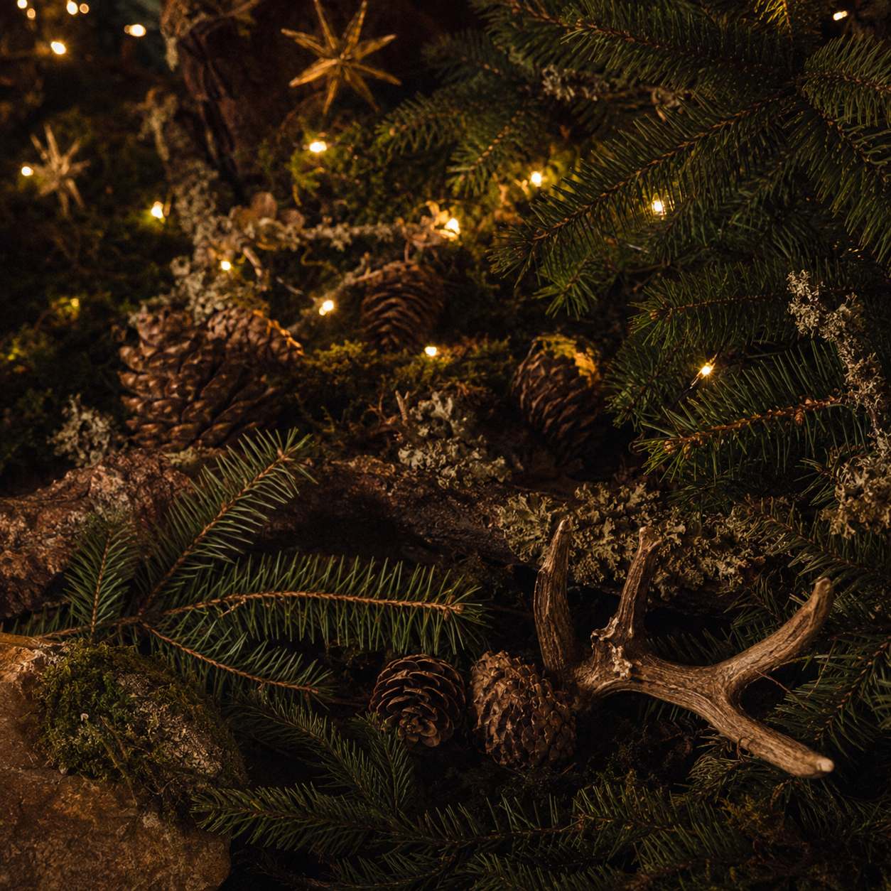 Starlit Evergreen Hollow Beeswax Candle | Where the forest meets the stars