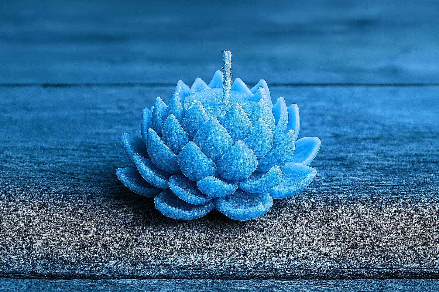 Lotus