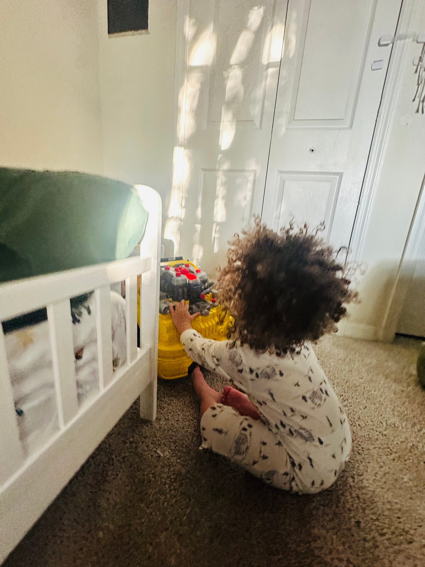 Little Crown Curl Oil - Infant & Toddler Nourishing Hair Oil for 3B–4C Curls