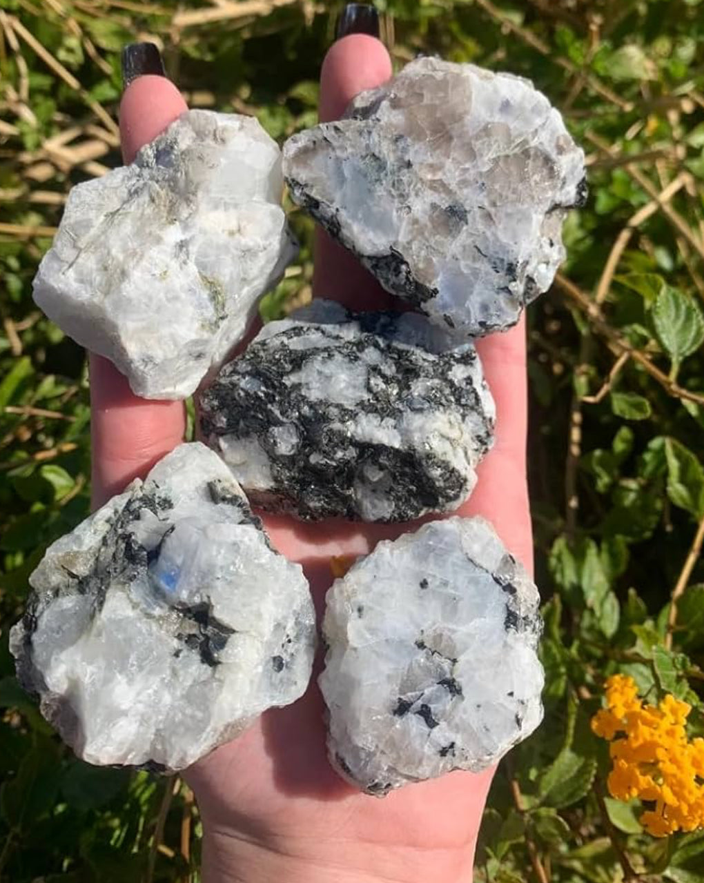 Moonstone Crystal — Stone of New Beginnings & Lunar Flow