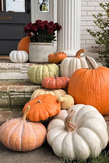 Pumpkinwood Body Scrub
- Warming, Gentle Exfoliation, & Antioxidant Rich ￼
