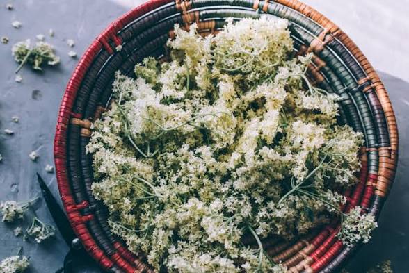 Elderbloom Awakening - Simmer Pot