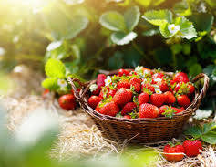 Strawberry Fields Spring Simmer Pot