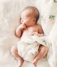 Newborn Dew Comfort Balm - Gentle, Soothing, & Nurturing