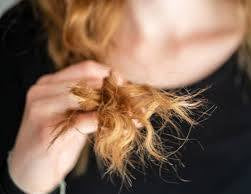 Split End Revival Hair Oil - Repairing, Shine, & Moisture Seal