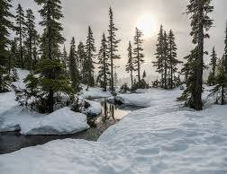 Winter Wonderland Mist – Linen & Room Spray